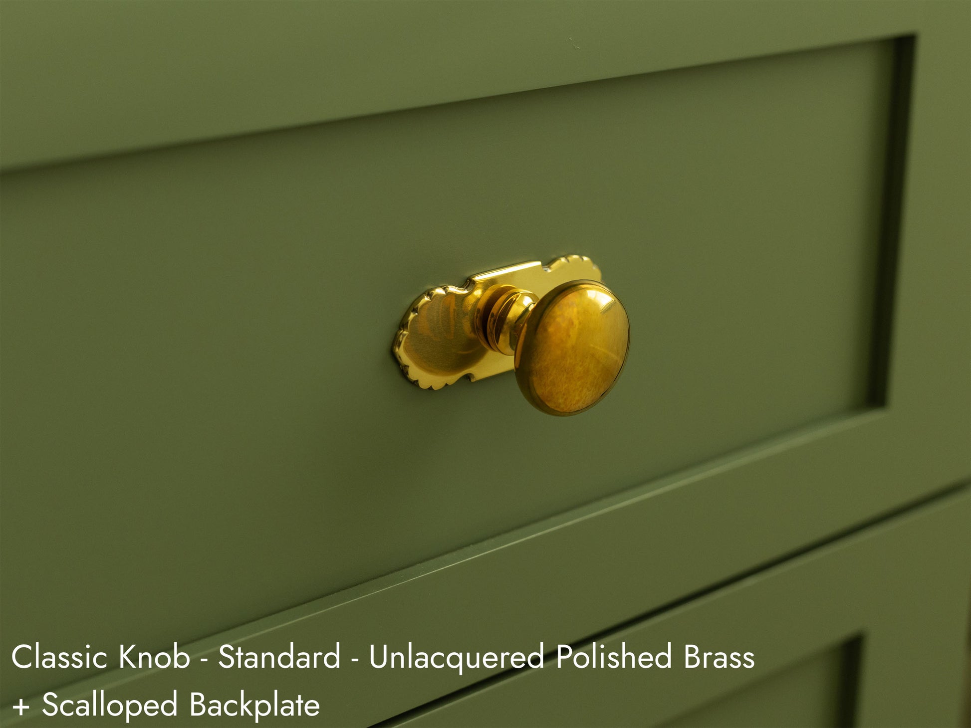 Solid brass Classic Knob, in unlacquered polished brass finish, on kitchen cabinets with Scalloped Backplate.